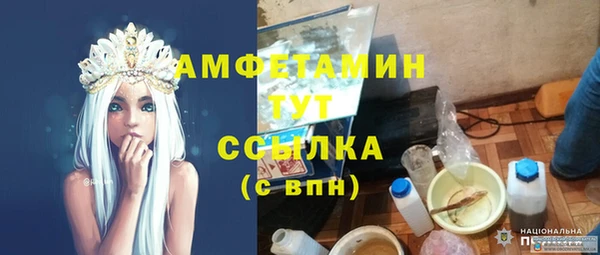 шишки Краснослободск