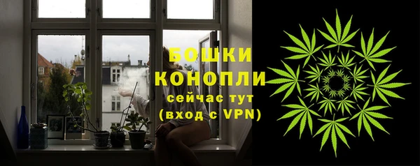 шишки Краснослободск