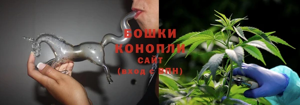 шишки Краснослободск