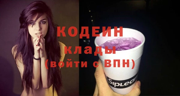 шишки Краснослободск