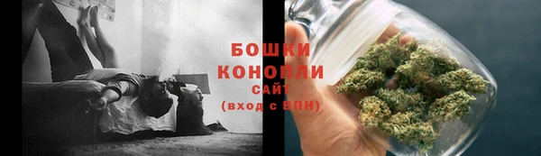 шишки Краснослободск