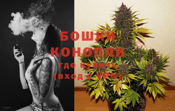 шишки Краснослободск