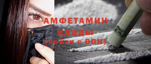 шишки Краснослободск