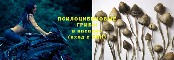не бодяженный Краснотурьинск